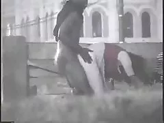Porno unge barbert fitte svært sexy babe